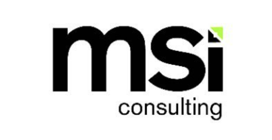 Consulting Team